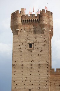 Torre Castillo de la Mota - Divulgadores